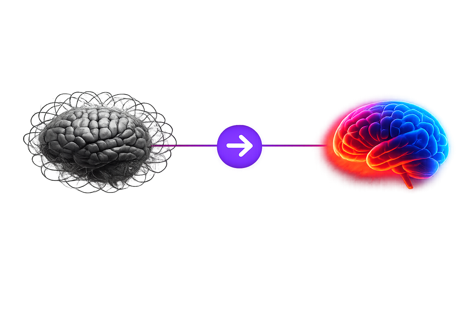 Brainrot transitioning to Brain Reset